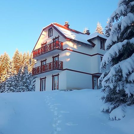 Vila Natasa Kopaonik Zewnętrze zdjęcie