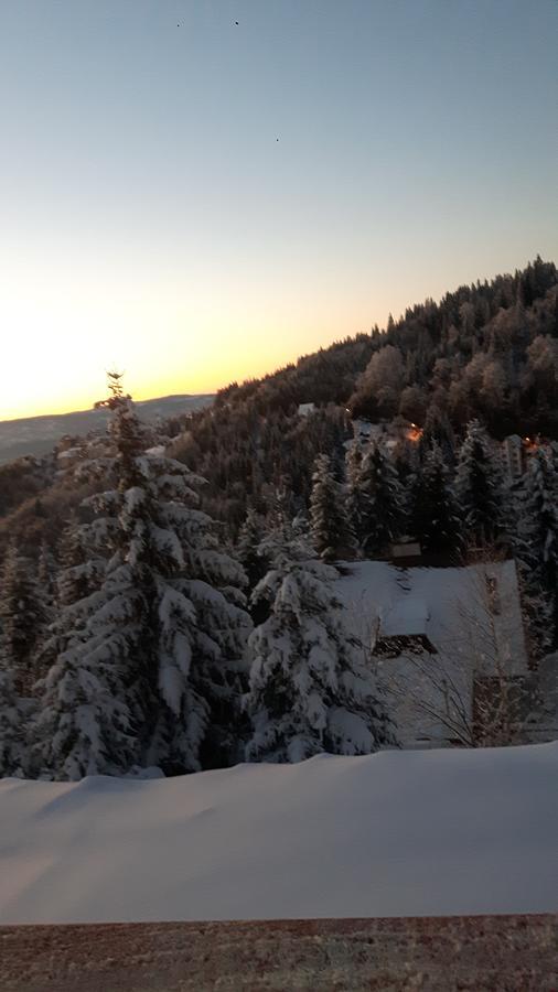 Vila Natasa Kopaonik Zewnętrze zdjęcie