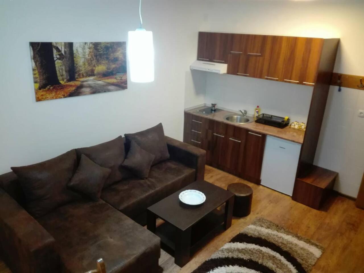 Vila Natasa Kopaonik Zewnętrze zdjęcie