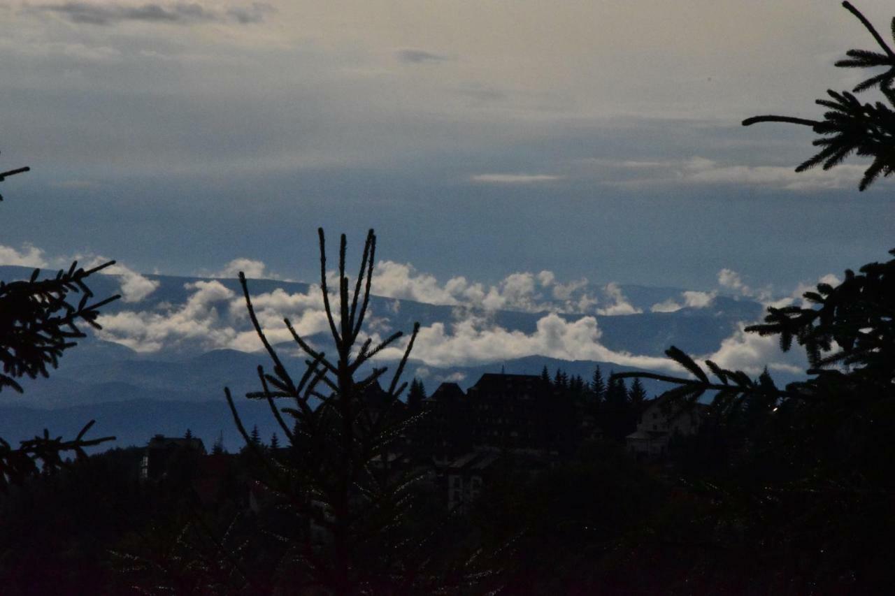 Vila Natasa Kopaonik Zewnętrze zdjęcie