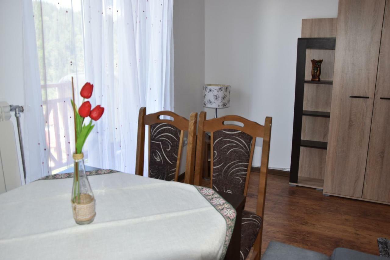Vila Natasa Kopaonik Zewnętrze zdjęcie